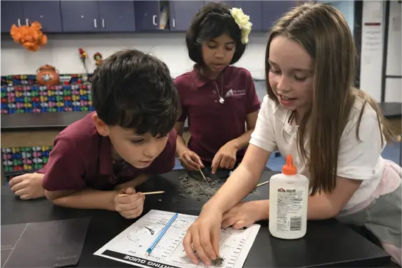 Students study bone fragments at Mt. Helix Academy.